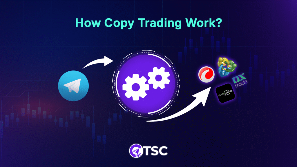 How Does Copy Trading Work